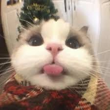 มิตร ชัยบัญชา avatar