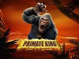 Primate King DNT